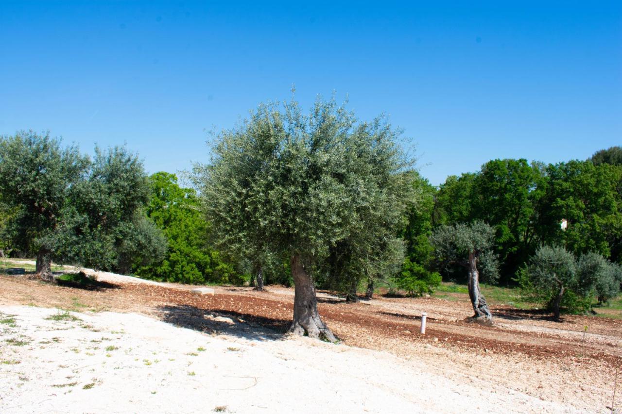 Casale Dello Zio, Private Pool By Il Pumo Di Puglia Villa Castellana Grotte Ngoại thất bức ảnh