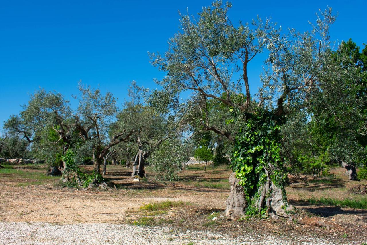 Casale Dello Zio, Private Pool By Il Pumo Di Puglia Villa Castellana Grotte Ngoại thất bức ảnh